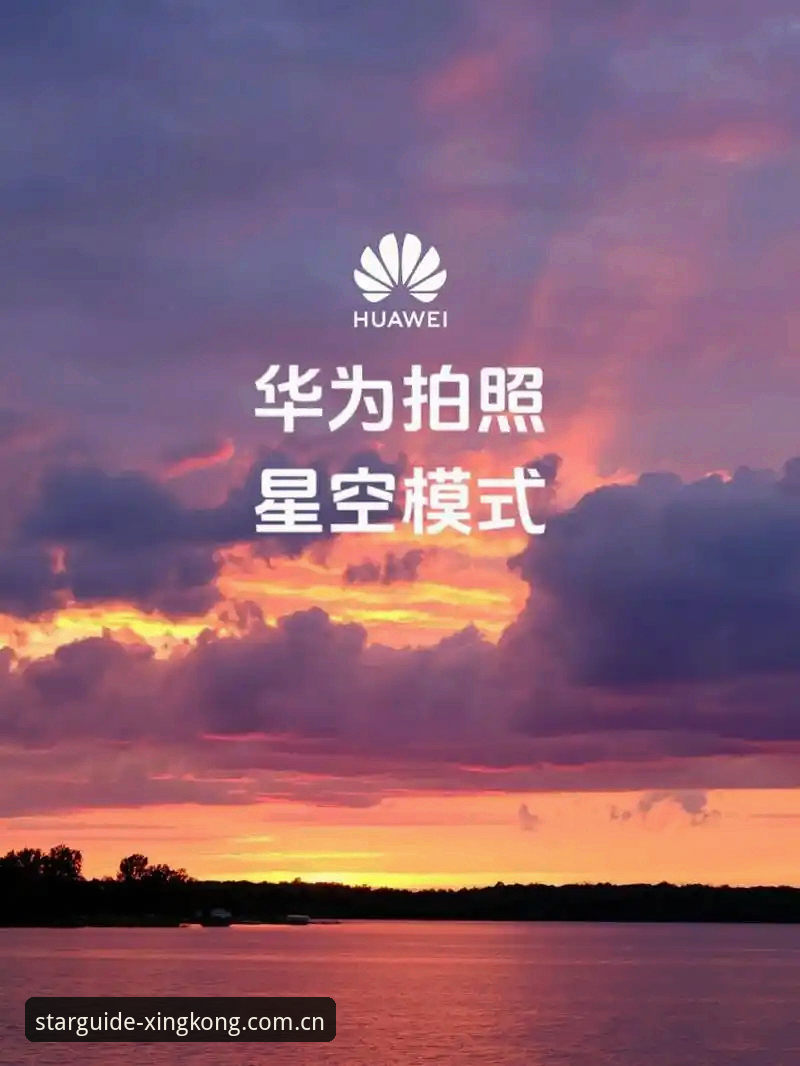 星空官方中文主页导航APP深度评测：移动端的紧凑变革 还是功能妥协？